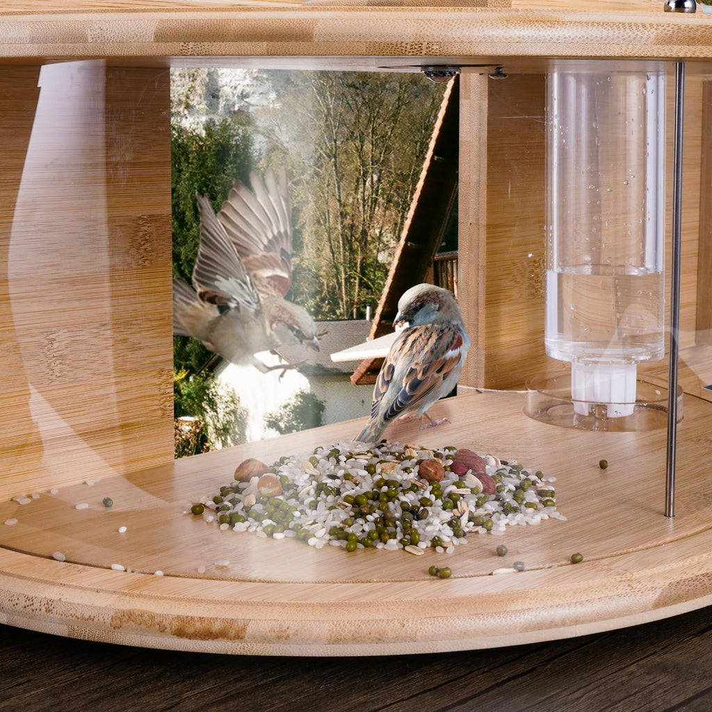 Eco-Friendly Window Bird Feeder / Waterer: Enjoy Watching Birds in The Comfort of Your Own Home